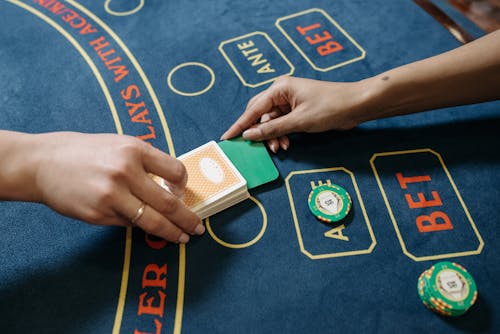 Barbadosbet Vs Other Casinos 2026